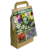 101 Promo Pack Collection Summer Flowering Bulbs