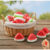 12Pcs Slow Rise Squishies, Watermelon Stress Relief