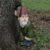 15cm Garden Gnome Ornament