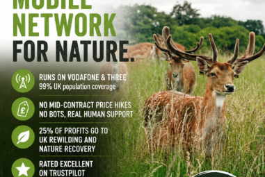 Rewild Mobile Review 2026 — The Ethical UK Network Worth Switching To
