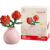 Flower Building Blocks Set – Mini Botanical Plants Model Kit