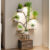 Mondeer Plant Stand Indoor with Grow Lights