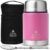 Prime Horizon Food Flask – 500ml