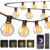 Smart Festoon Lights Outdoor 30m, G40 Shatterproof