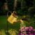 Solar Lights Outdoor Garden Watering Can, Solar Garden Light