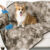 Waterproof Dog Blanket – 100x120cm